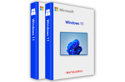 Windows11（专业版）